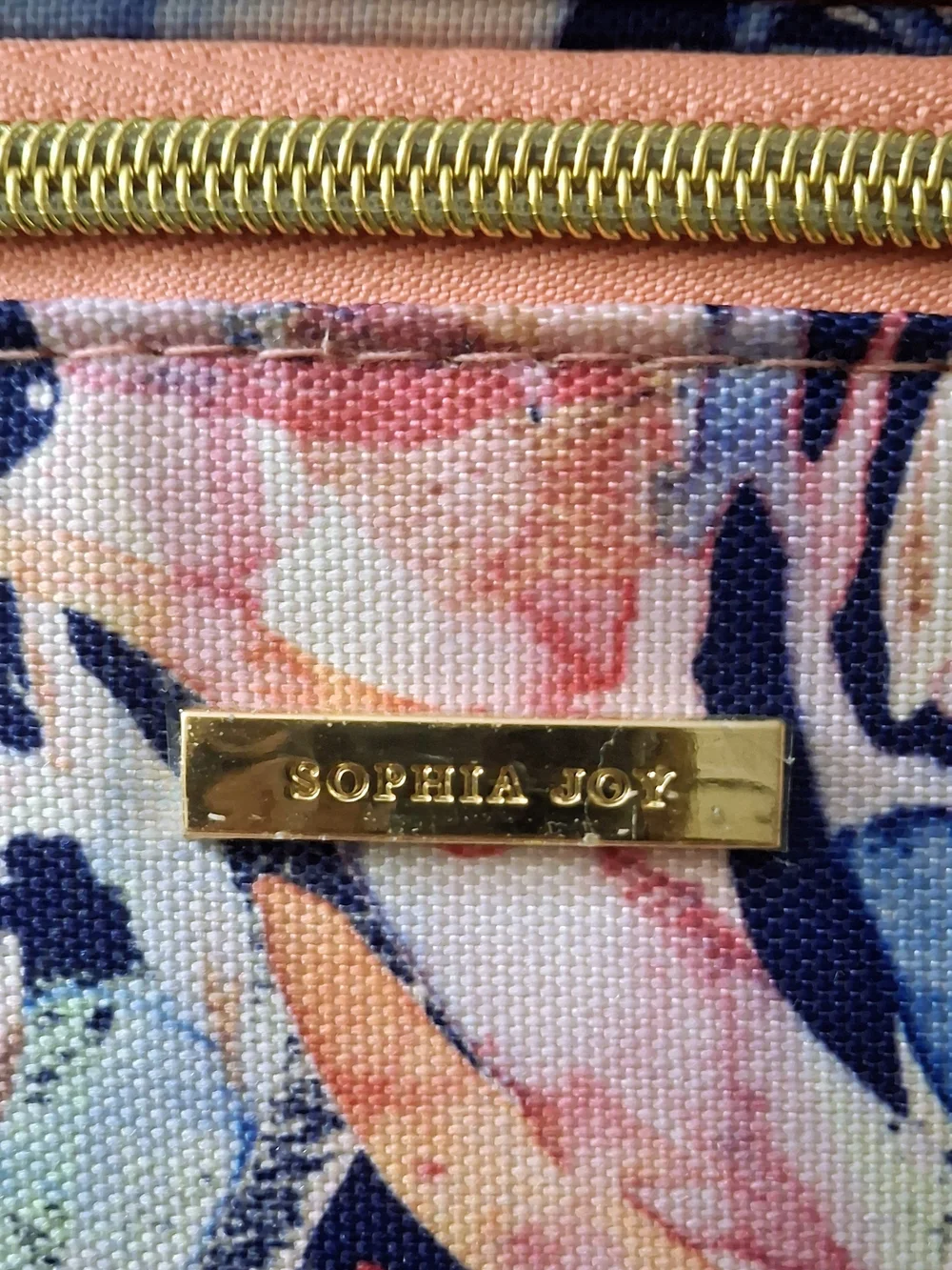 Sophia Joy Double Zip Makeup Train Case Blue Pink Breezy NWOT